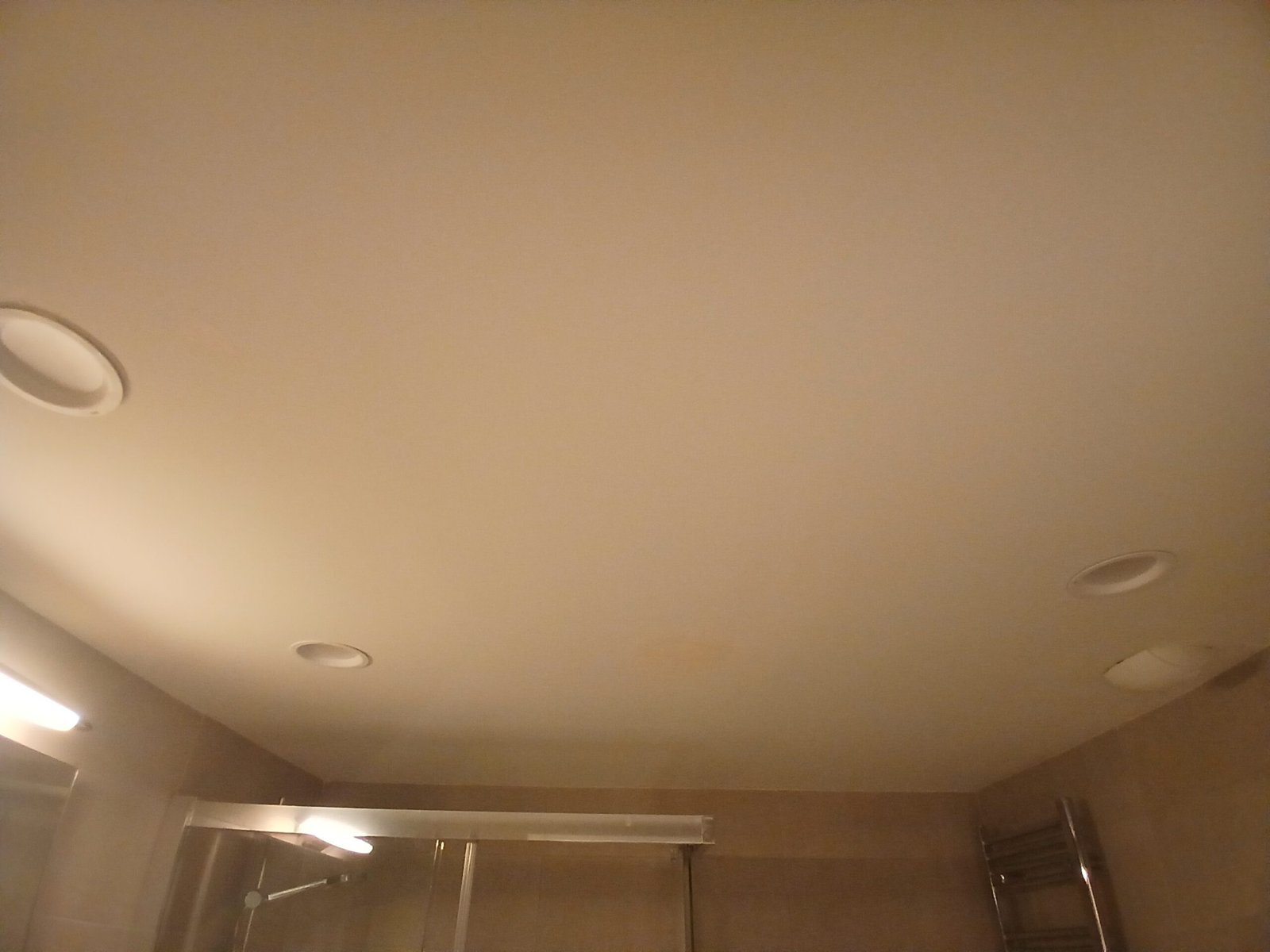 Reparación y pintura de techos en vivienda de Bilbao para eliminar manchas de humedad y grietas.